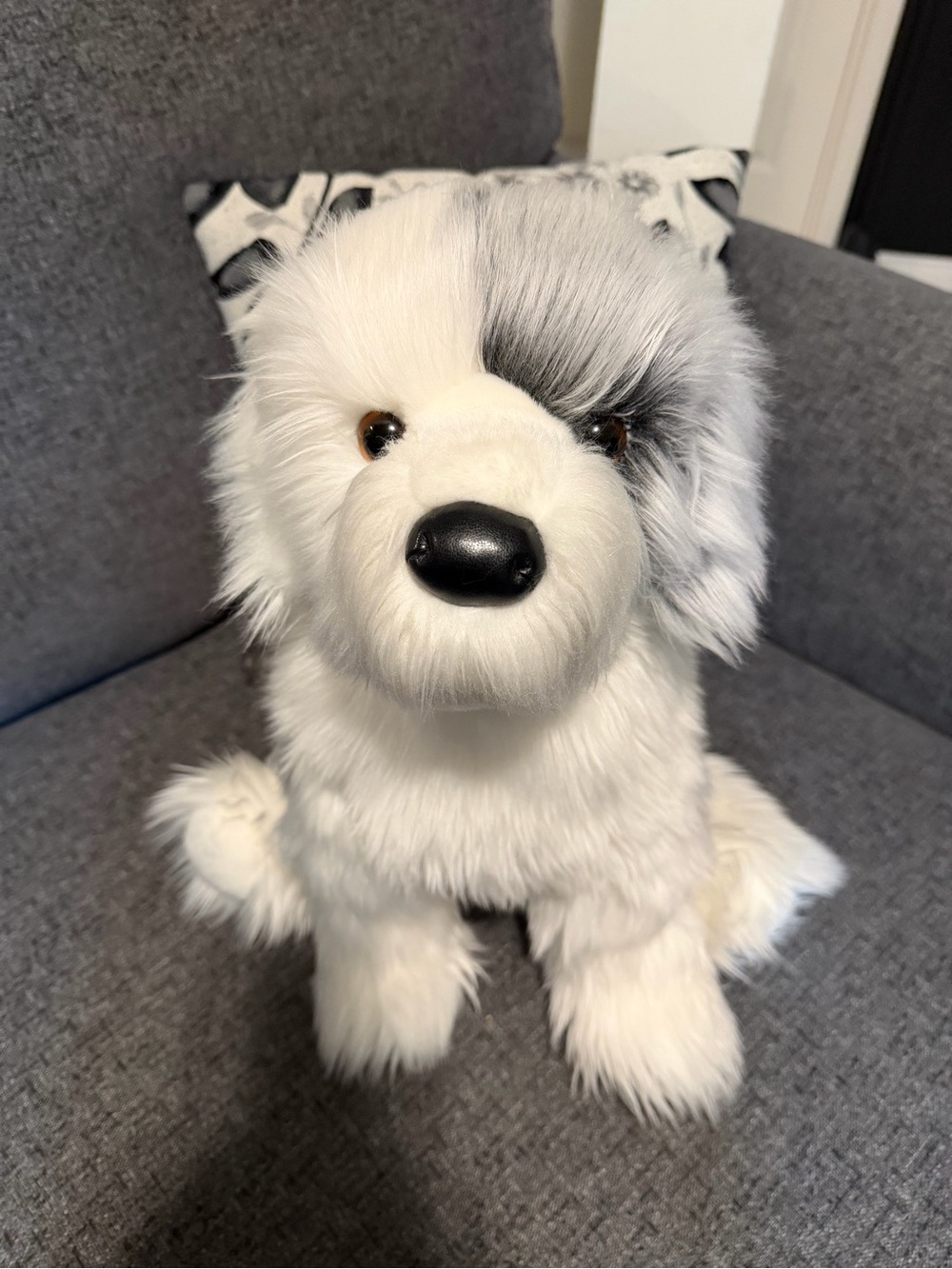 Douglas retired Willard sheepdog